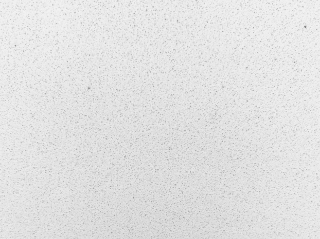 Solidum Blanco tormenta
